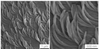 Tech: Nanofiber carpet could lead to new sticky or insulating surfaces — (Report)