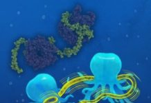 Research: Channels for the supply of energy —