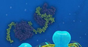 Research: Channels for the supply of energy —