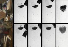 Tech: Universal laws in impact dynamics of dust agglomerates under microgravity conditions — (Report)