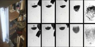 Tech: Universal laws in impact dynamics of dust agglomerates under microgravity conditions — (Report)