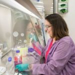 Study: New drug discovery could halt spread of brain cancer — (Details)