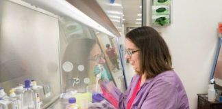 Study: New drug discovery could halt spread of brain cancer — (Details)