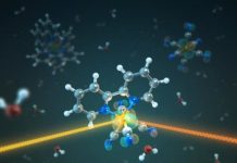 Tech: Making X-ray microscopy 10 times faster — (Report)