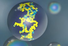 Research: New discovery of light absorption law to help climate scientists build better models —