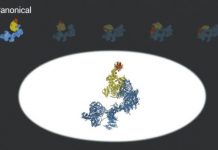 Tech: With cryo-EM, scientists obtain clearer picture of key machinery that transcribes DNA — (Report)