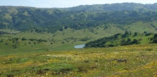 Research: New computer model flags state areas ripe for preservation of native species —