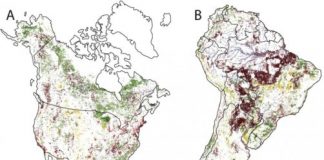 Research: Powerful new map depicts environmental degradation across Earth —