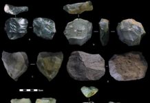 Research: The ‘Swiss Army knife of prehistoric tools’ found in Asia, suggests homegrown technology —