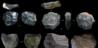 Research: The ‘Swiss Army knife of prehistoric tools’ found in Asia, suggests homegrown technology —