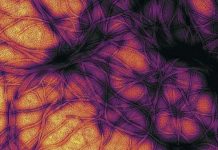 Research: Eyes of Creutzfeldt-Jakob disease patients show evidence of prions —