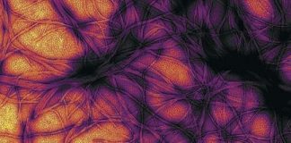 Research: Eyes of Creutzfeldt-Jakob disease patients show evidence of prions —