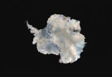 Research: Is Antarctica becoming more like Greenland? —