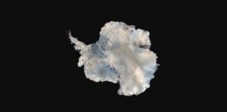 Research: Is Antarctica becoming more like Greenland? —