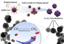 Tech: Sustainable ‘nano-raspberry’ to neutralize poisonous carbon monoxide — (Report)