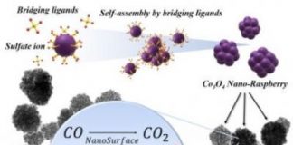 Tech: Sustainable ‘nano-raspberry’ to neutralize poisonous carbon monoxide — (Report)