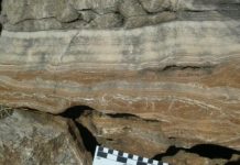 Research: New uranium-lead ages for fossil bearing caves change the landscape of human evolution in South Africa —