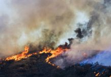 Research: Report highlights impacts, risks and adaptations to climate change —