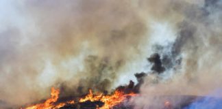 Research: Report highlights impacts, risks and adaptations to climate change —