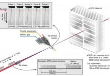 Tech: New technology for the first experiment with the greatest source of x-rays in the world — (Report)