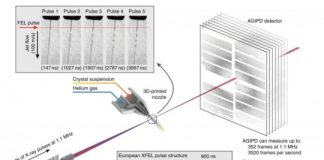 Tech: New technology for the first experiment with the greatest source of x-rays in the world — (Report)