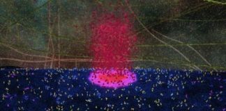 Study: New component of death machinery revealed — (Details)