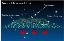 Tech: Simulations suggest graphene can stretch to be a tunable ion filter — (Report)