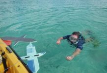 Research: Drones offer ability to find, ID and count marine megafauna —