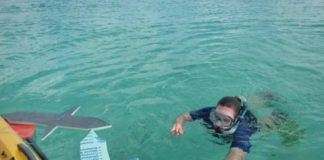 Research: Drones offer ability to find, ID and count marine megafauna —