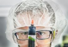 Research: Living electrodes with bacteria and organic electronics —