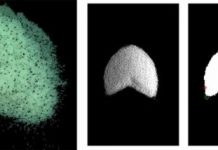 Research: Understanding the dynamics of dune formation —