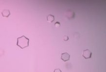 Tech: Creating rings in natural antibiotic synthesis — (Report)