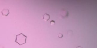 Tech: Creating rings in natural antibiotic synthesis — (Report)