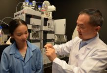 Tech: Citrate-based biomaterial fuels bone healing with less rejection — (Report)