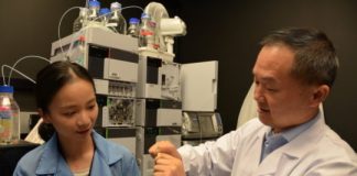 Tech: Citrate-based biomaterial fuels bone healing with less rejection — (Report)