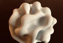 Tech: Single-cell asymmetries control how groups of cells form 3D shapes together — (Report)