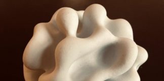 Tech: Single-cell asymmetries control how groups of cells form 3D shapes together — (Report)