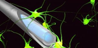 Study: Scientists develop minimally invasive probe — (Details)