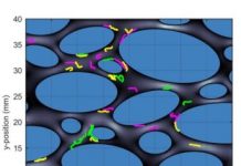 Research: How plastic waste moves in the environment —