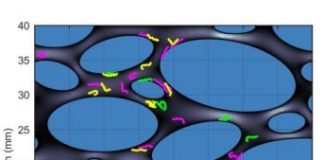 Research: How plastic waste moves in the environment —