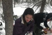 Research: Environmental DNA improves tracking of rare carnivores —