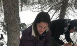 Research: Environmental DNA improves tracking of rare carnivores —