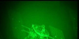 Tech: A big step toward the practical application of 3D holography with high- performance computers — (Report)