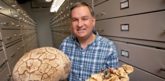 Research: North American checklist identifies the fungus among us —