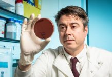 Research: The potentially deadly bacterium that’s on everyone’s skin —