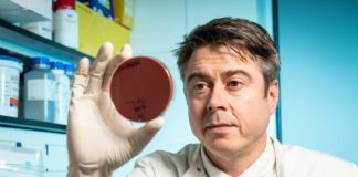 Research: The potentially deadly bacterium that’s on everyone’s skin —