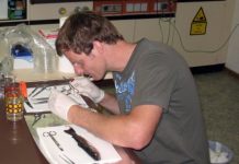 Research: The secret of brown trout dying uncovered —