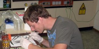 Research: The secret of brown trout dying uncovered —