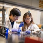 Study: Easy to use 3D bioprinting technique creates lifelike tissues from natural materials — (Details)