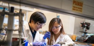 Study: Easy to use 3D bioprinting technique creates lifelike tissues from natural materials — (Details)